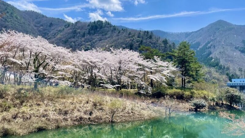 大野ダム公園（京都府）