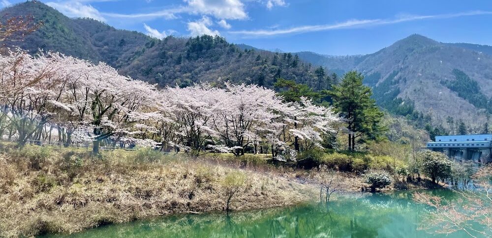 大野ダム公園（京都府）