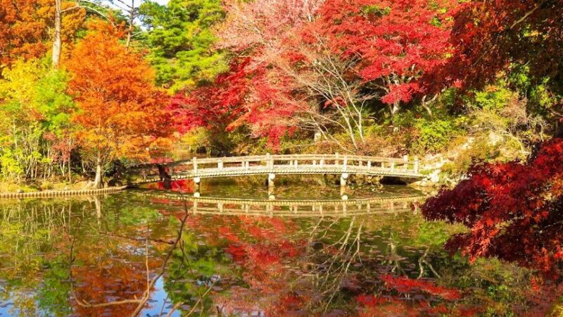 神戸市立森林植物園（兵庫県）