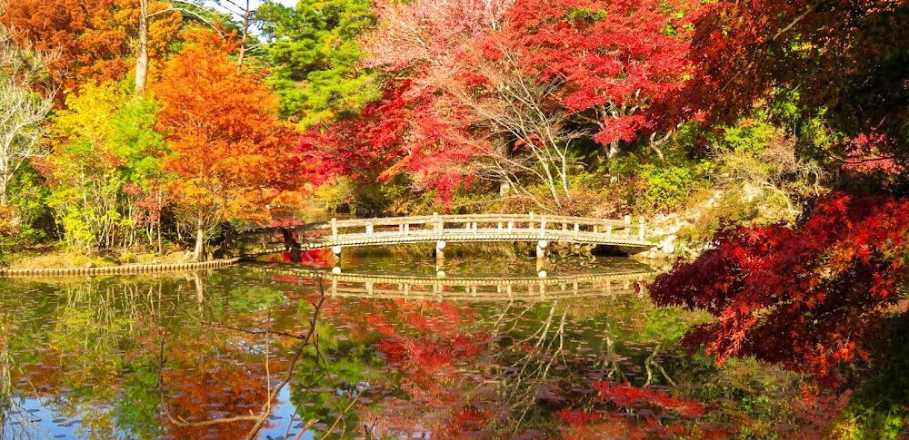 神戸市立森林植物園（兵庫県）