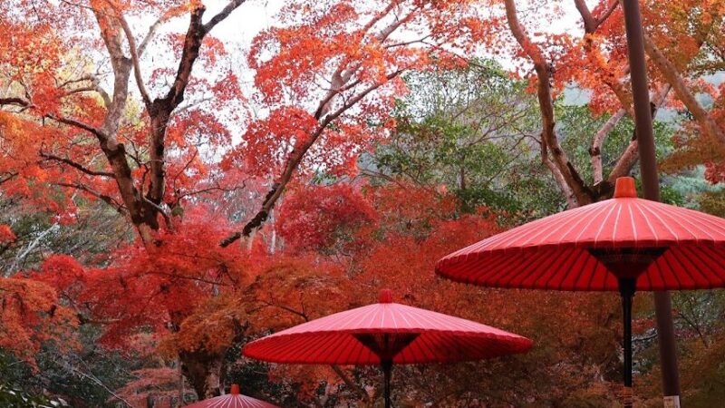 瑞宝寺公園（兵庫県）