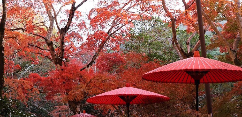 Zuiho-ji Park (Hyogo Prefecture)
