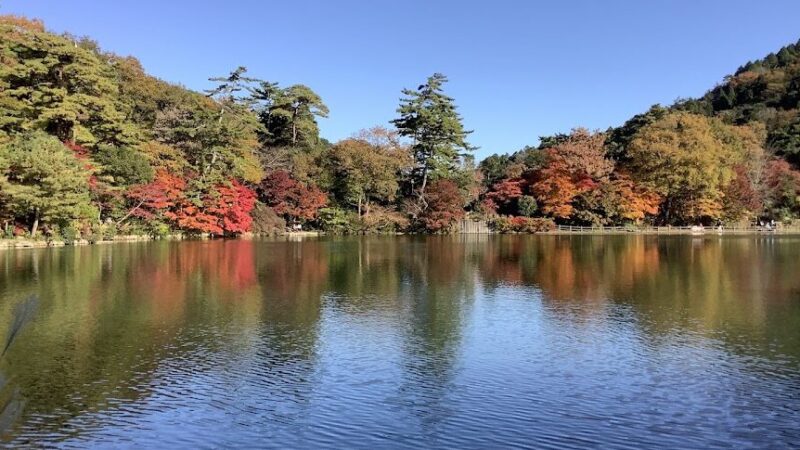 再度公園（兵庫県）