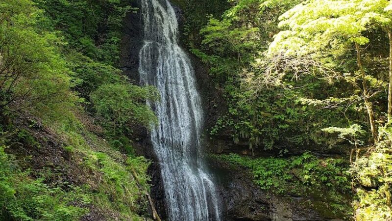 阿瀬渓谷（兵庫県）完全ガイド｜48滝の絶景とハイキングコース徹底解説
