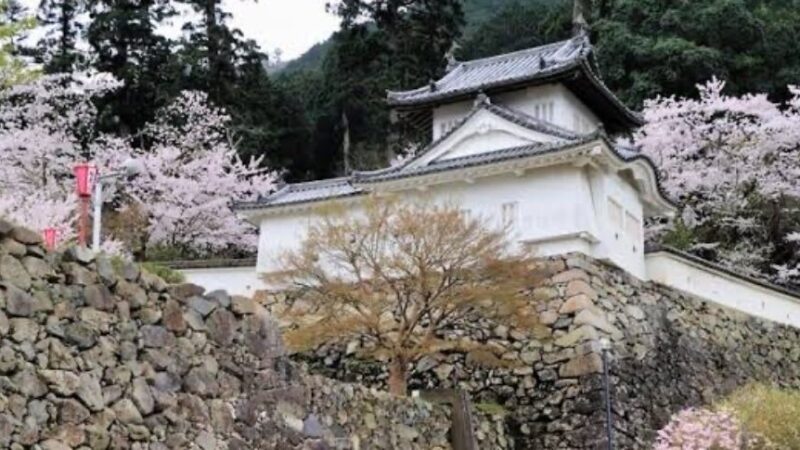 出石城跡（兵庫県）