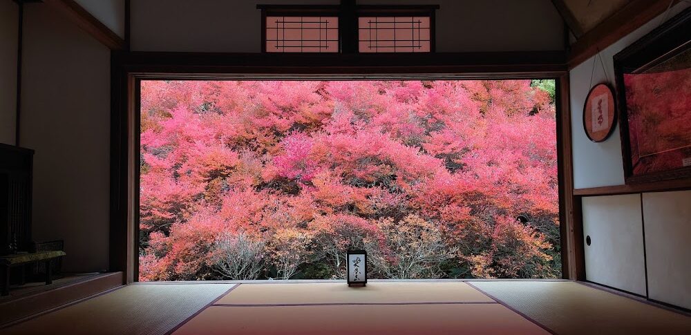 但馬安國禅寺のドウダンツツジ