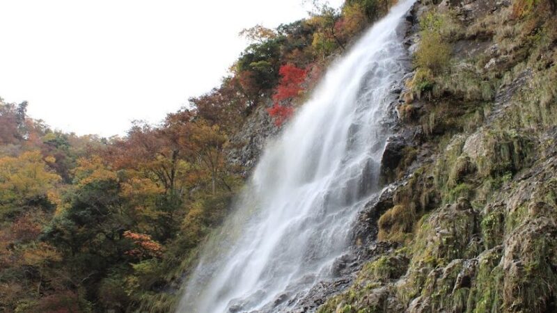 天滝（兵庫県）