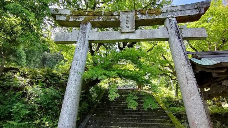 養父神社（兵庫県）