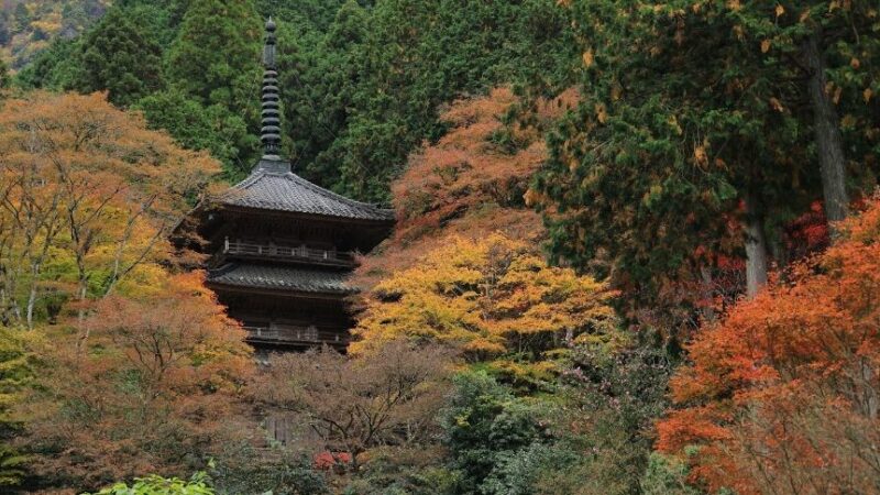 高源寺（兵庫県）