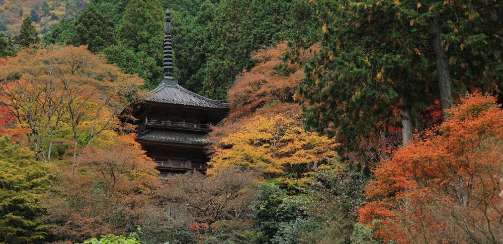 高源寺（兵庫县）