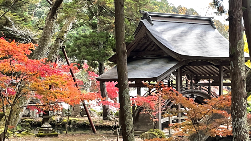 白毫寺（兵庫県丹波市）