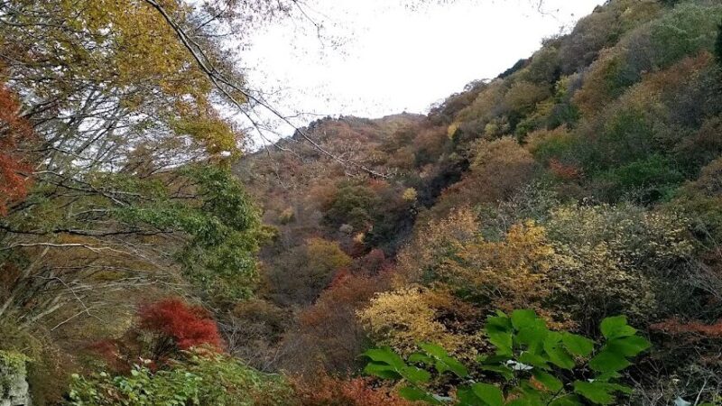福知渓谷（兵庫県）