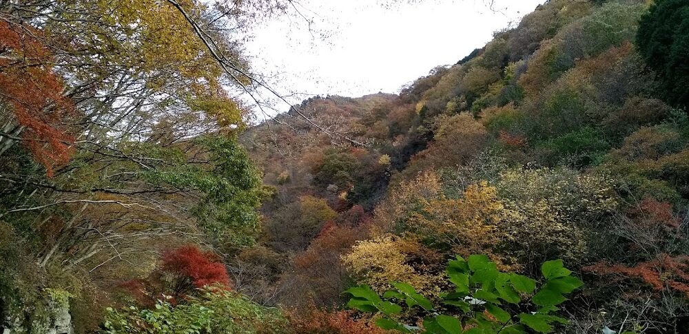 福知渓谷（兵庫県）