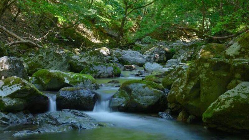 音水渓谷（兵庫県）