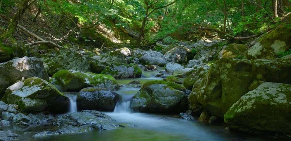 音水渓谷（兵庫県）