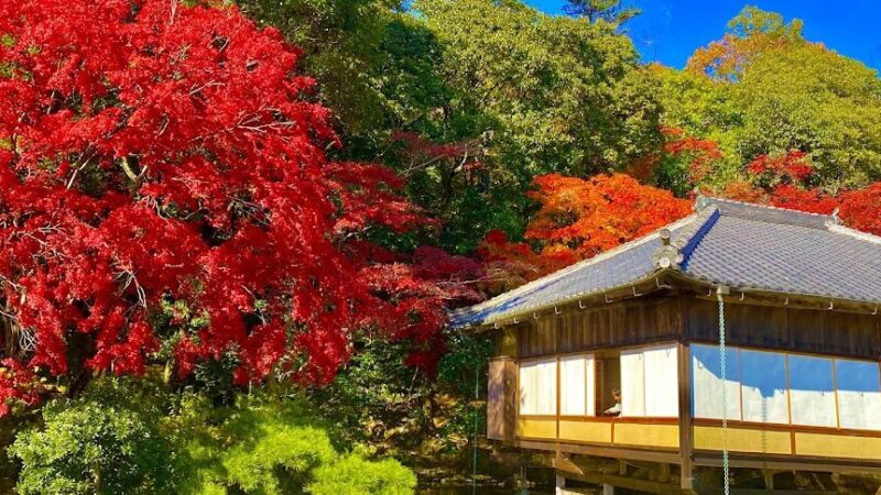 龍野公園 紅葉谷・聚遠亭の紅葉