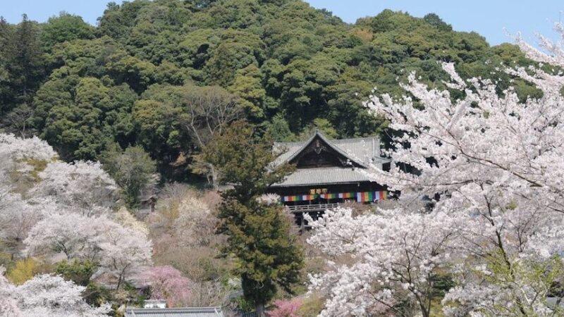 奈良長谷寺
