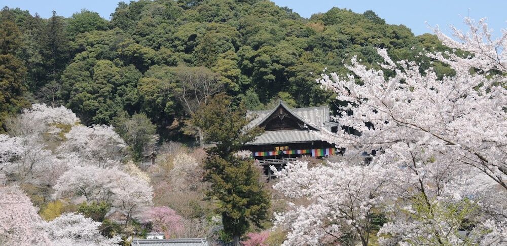 Nara Hasedera Temple