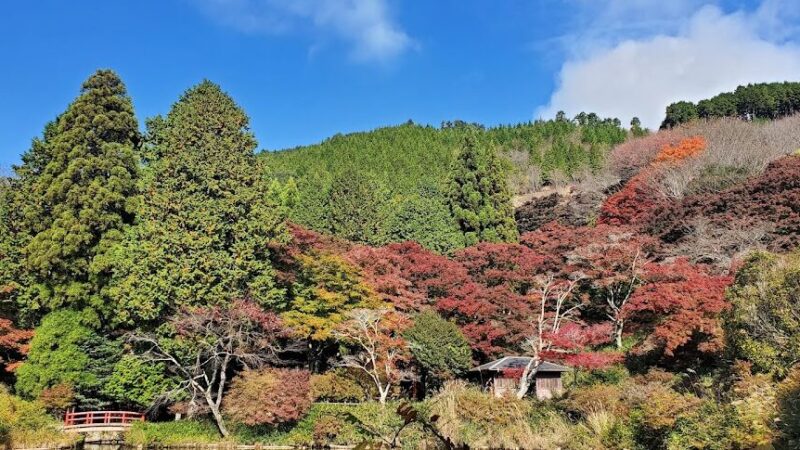 鳥見山公園（奈良県宇陀市）
