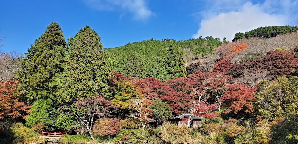 Torimi-yama Park (Uda City, Nara Prefecture)