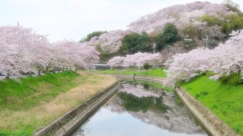 奈良県立竜田公園