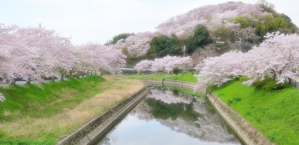 奈良県立竜田公園