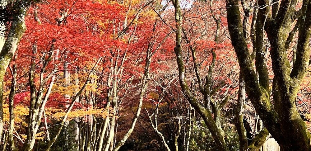 계족사(구 팬복사)