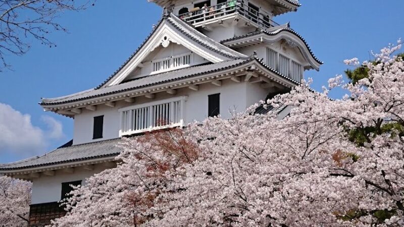 豊公園（滋賀県）