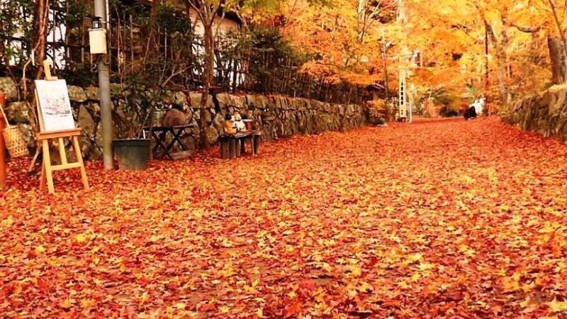 長寿寺・湖南三山（滋賀県）
