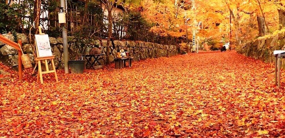 長寿寺・湖南三山（滋賀県）